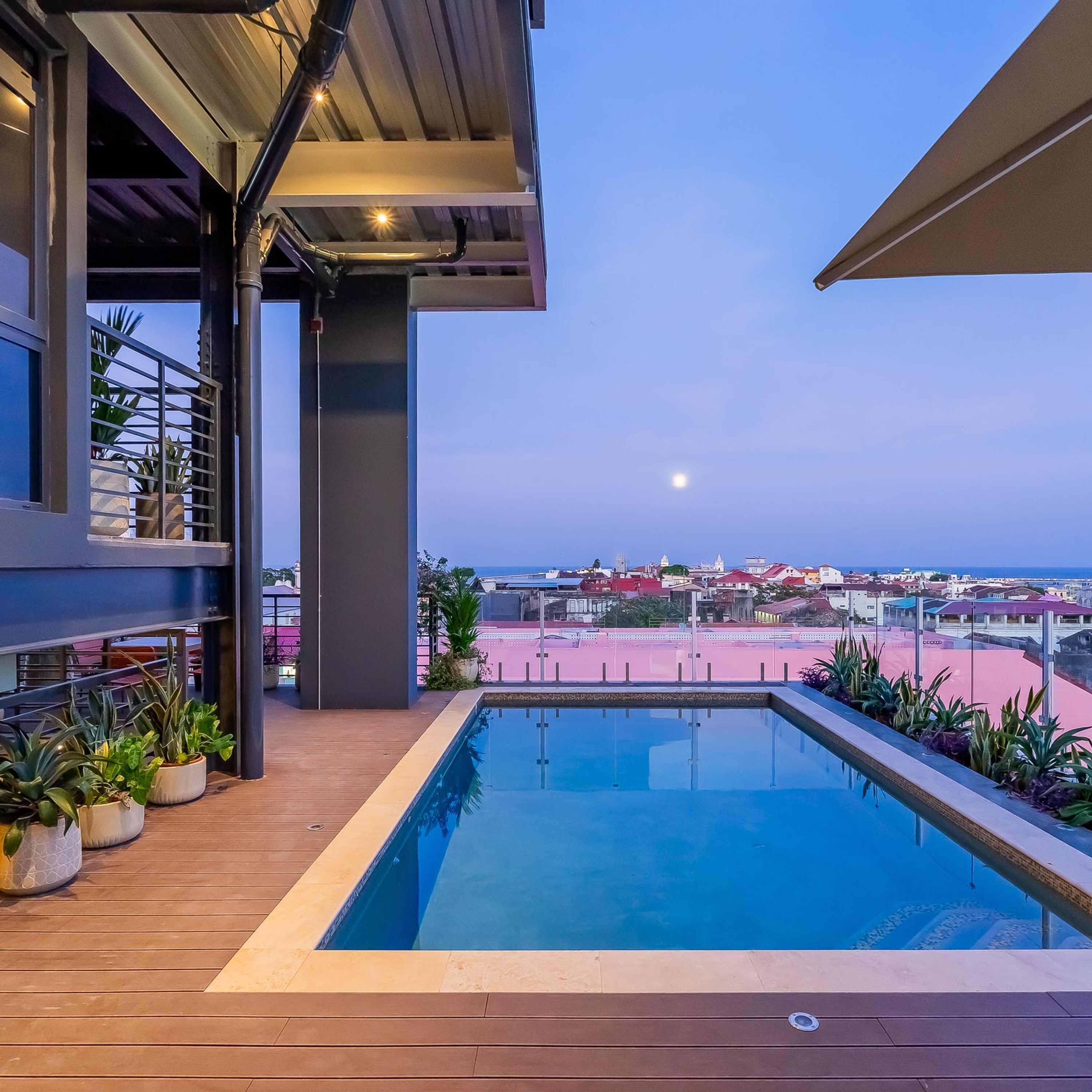 A modern outdoor swimming pool with a wooden deck, surrounded by potted plants.