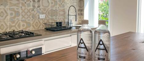 Appartamento | 1 camera, ferro/asse da stiro, Internet