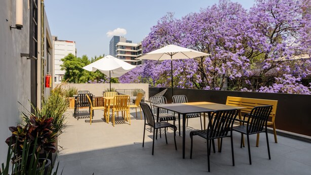 An outdoor patio with tables and chairs, surrounded by purple flowering trees. - w Cozy 1BR in Polanco (Mexico City)