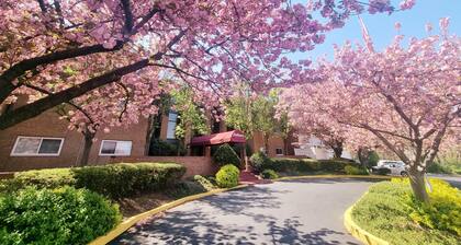 Amazing Clean Large Parking Long Term Avail