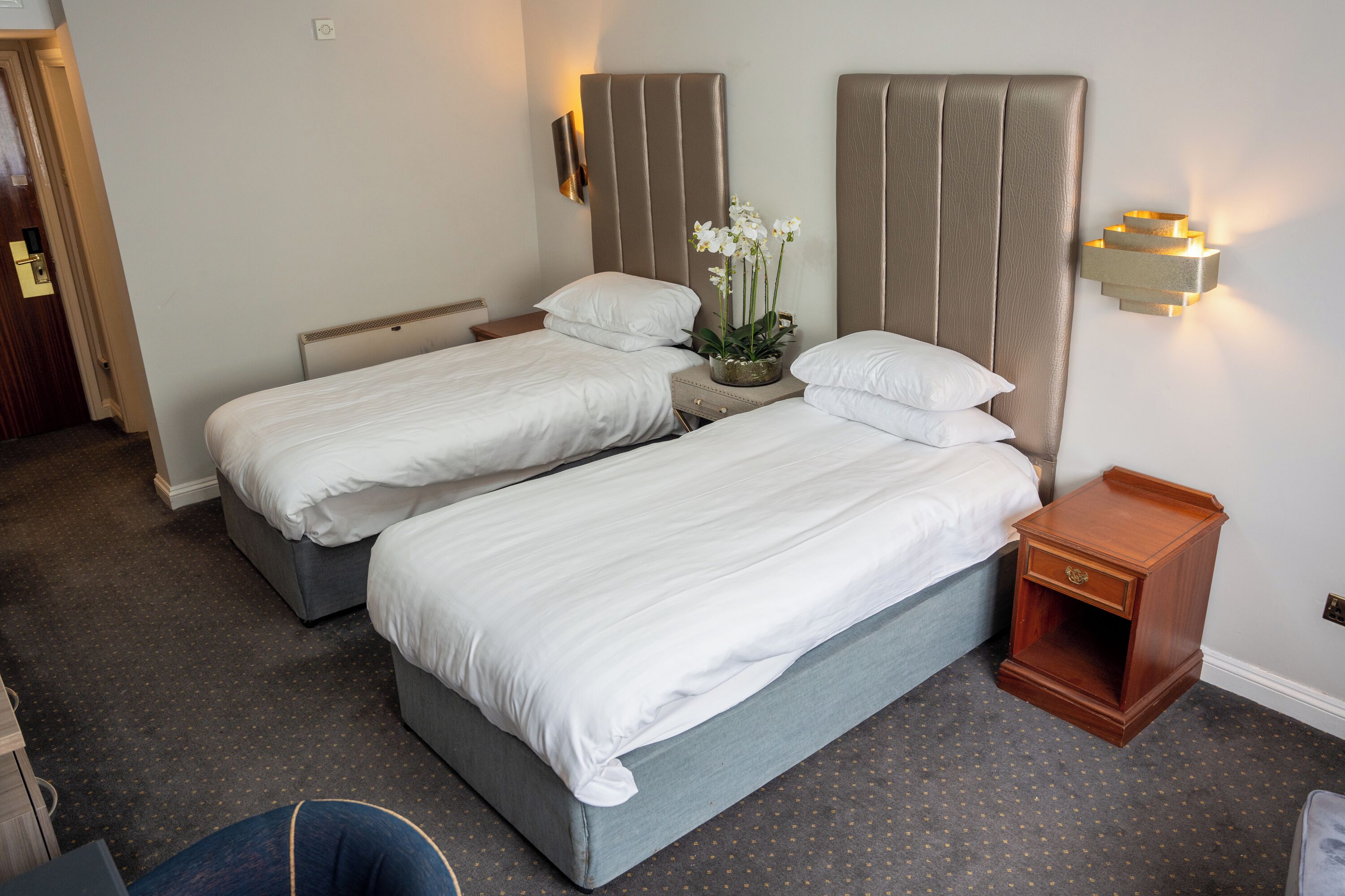 Habitación de hotel con dos camas, una mesita de noche, una lámpara de pared y una planta pequeña en maceta.