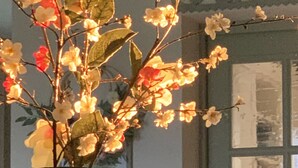 Un jarrón con flores y luces sobre una mesa.