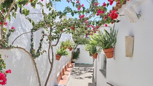 A narrow alleyway with white walls, potted plants, and hanging vines with red flowers. - Complejo La Chanca, HAB 11 (Conil de la Fra.)