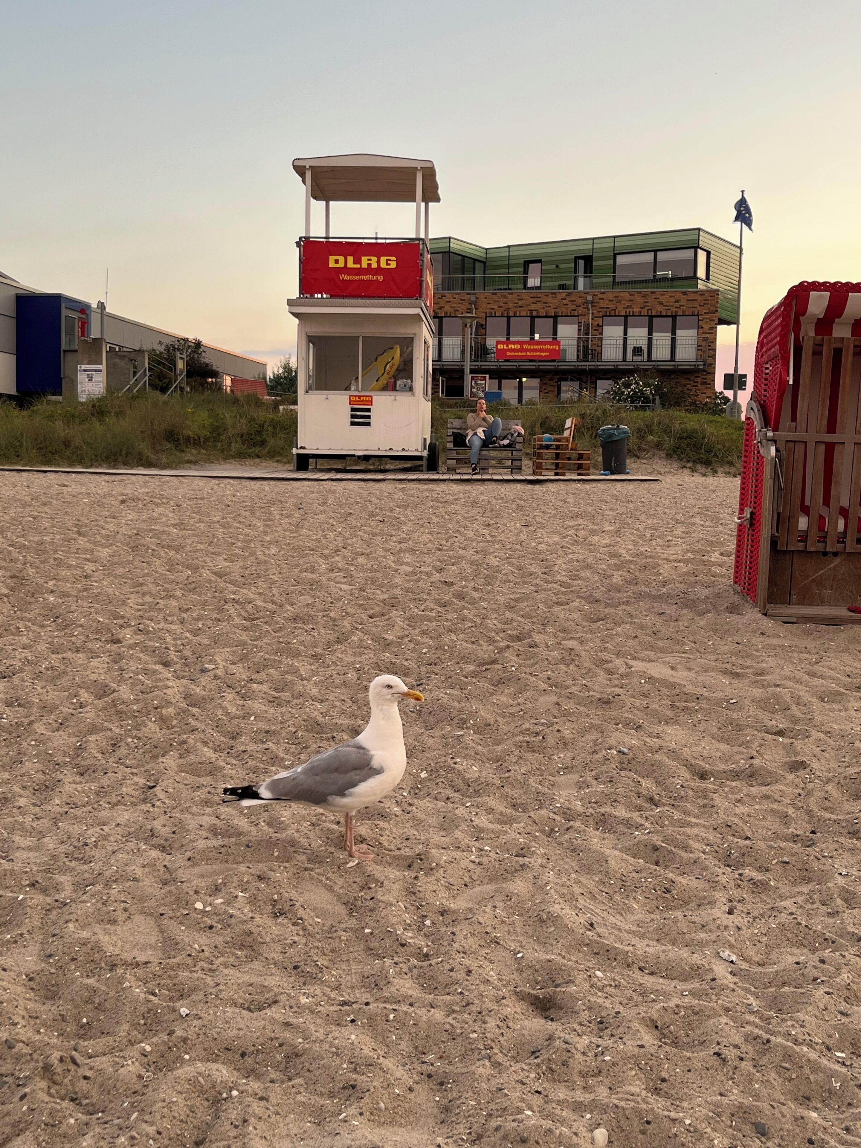 Strand