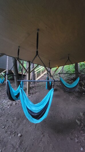 Terrain de l’hébergement 