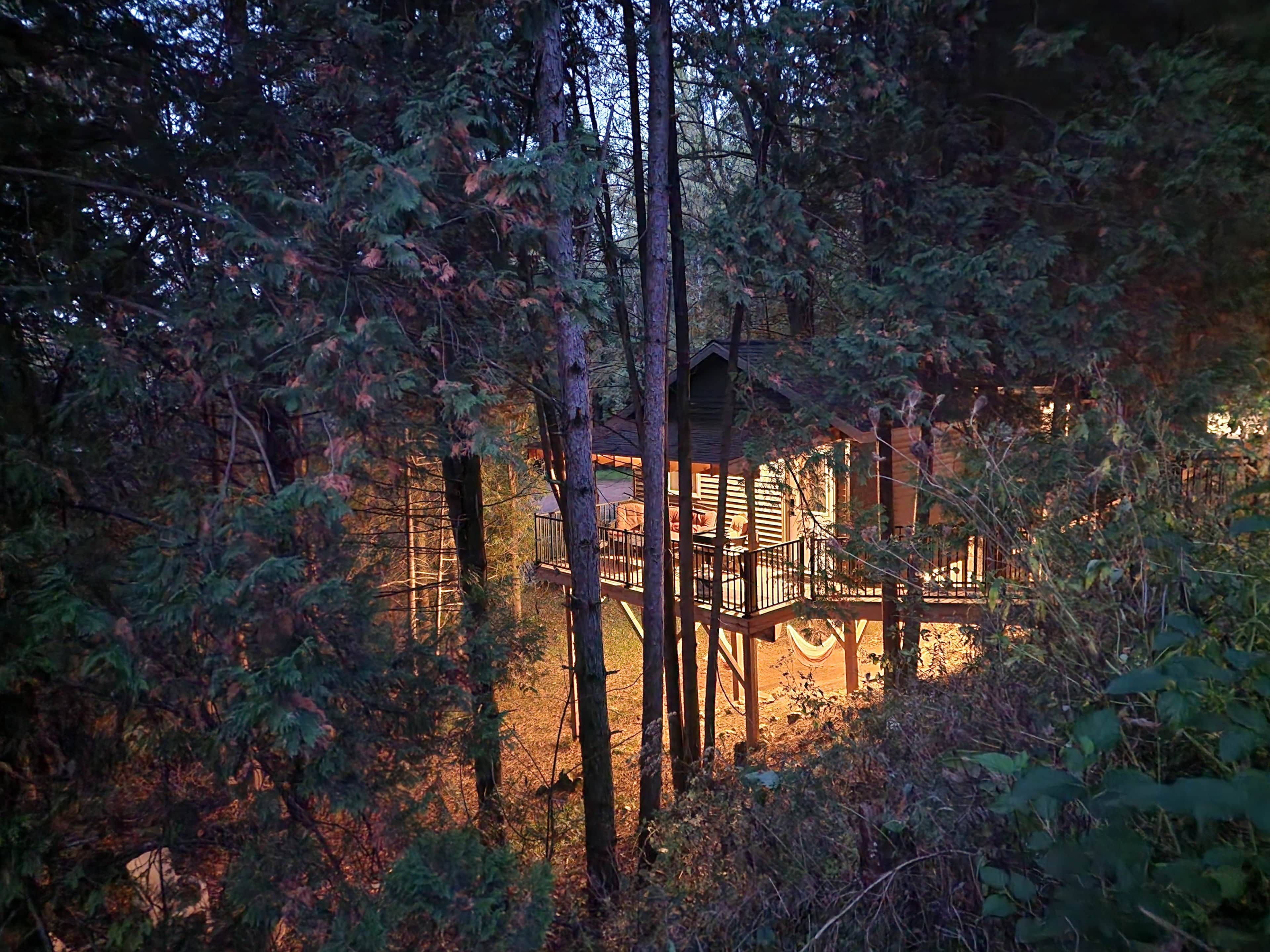 A cabin surrounded by dense forest, with a wooden deck and a hammock.