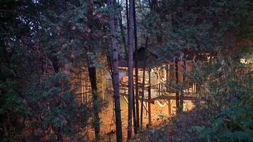A cabin surrounded by dense forest, with a wooden deck and a hammock.
