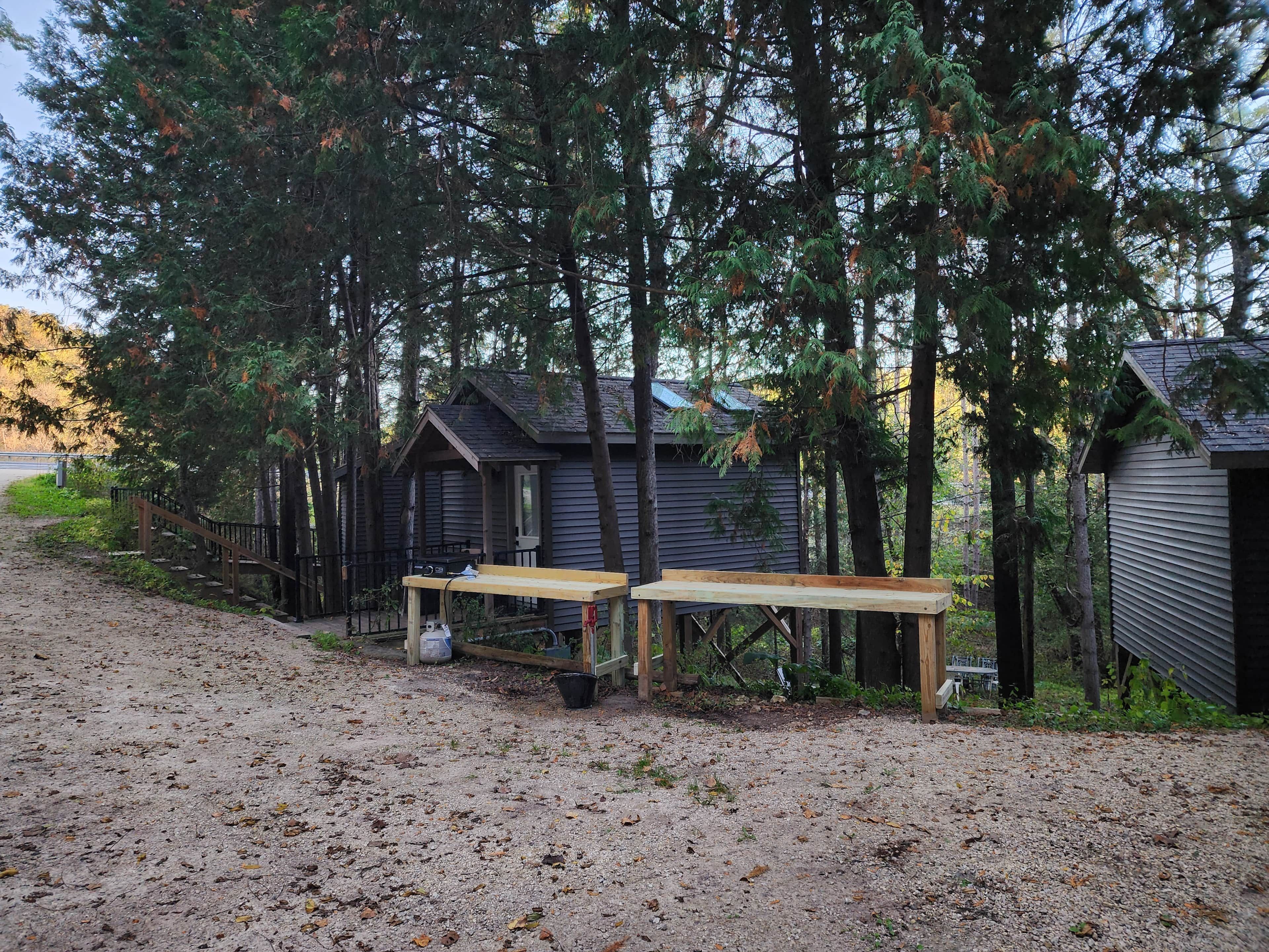 A rustic cabin with a gravel path leading to it, surrounded by tall trees.