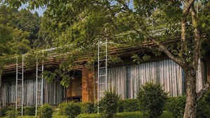 A rustic building with a wooden facade, a stone wall, and a tree in the foreground. - Scent Bungalow (Xuan Huong - Da Lat)
