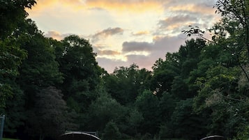 Terrain de l’hébergement