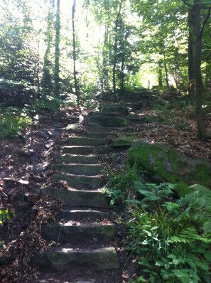 Property grounds - Heidelberg und Eine Traum Location Tierfreundlich (Walldorf)