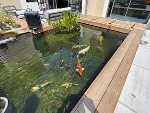 Pool - Magnifique mas Restauré Proche de Lisle/sorgue! (Velleron)