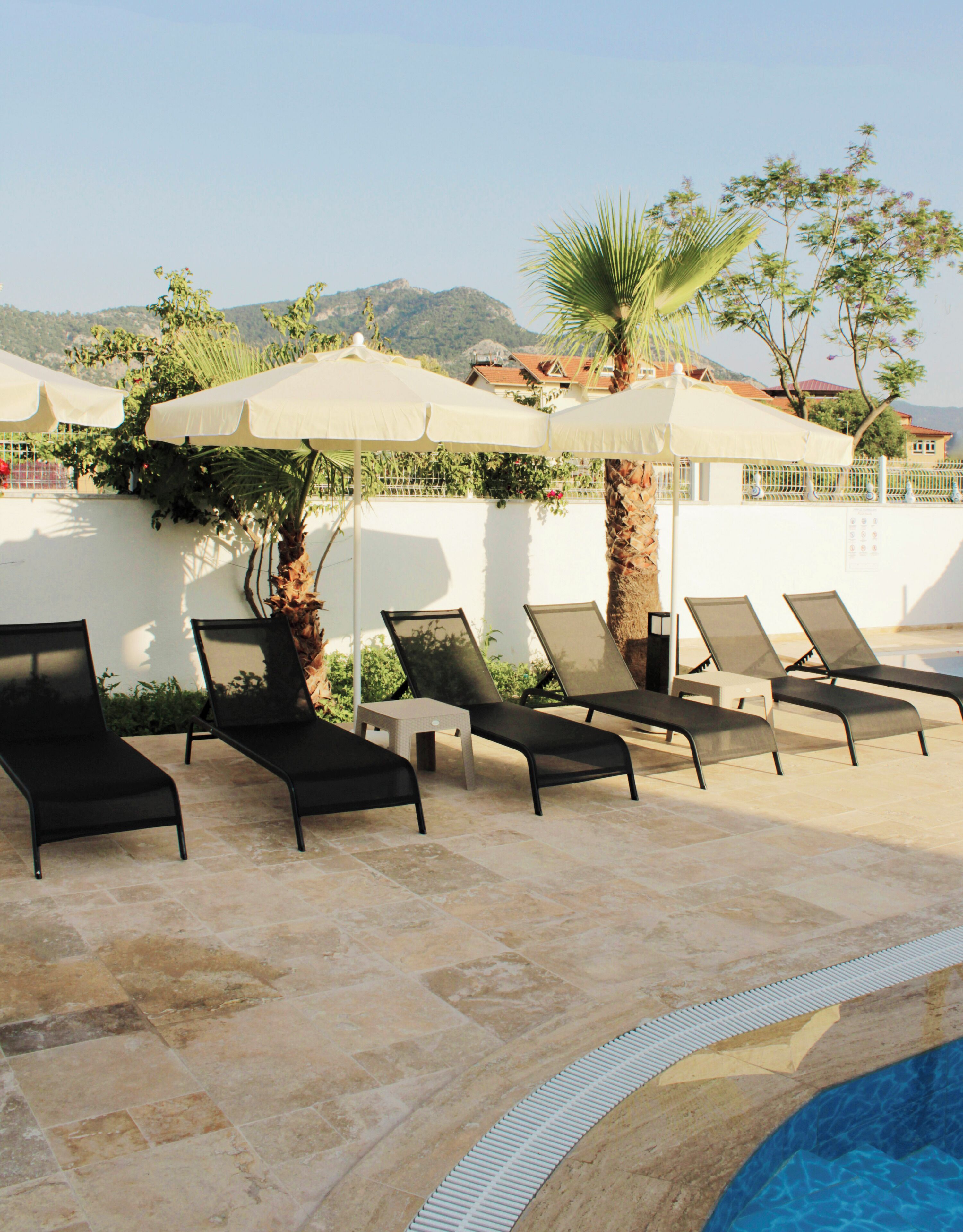 Área da piscina com espreguiçadeiras e guarda-sóis, uma palmeira e vista para as montanhas.