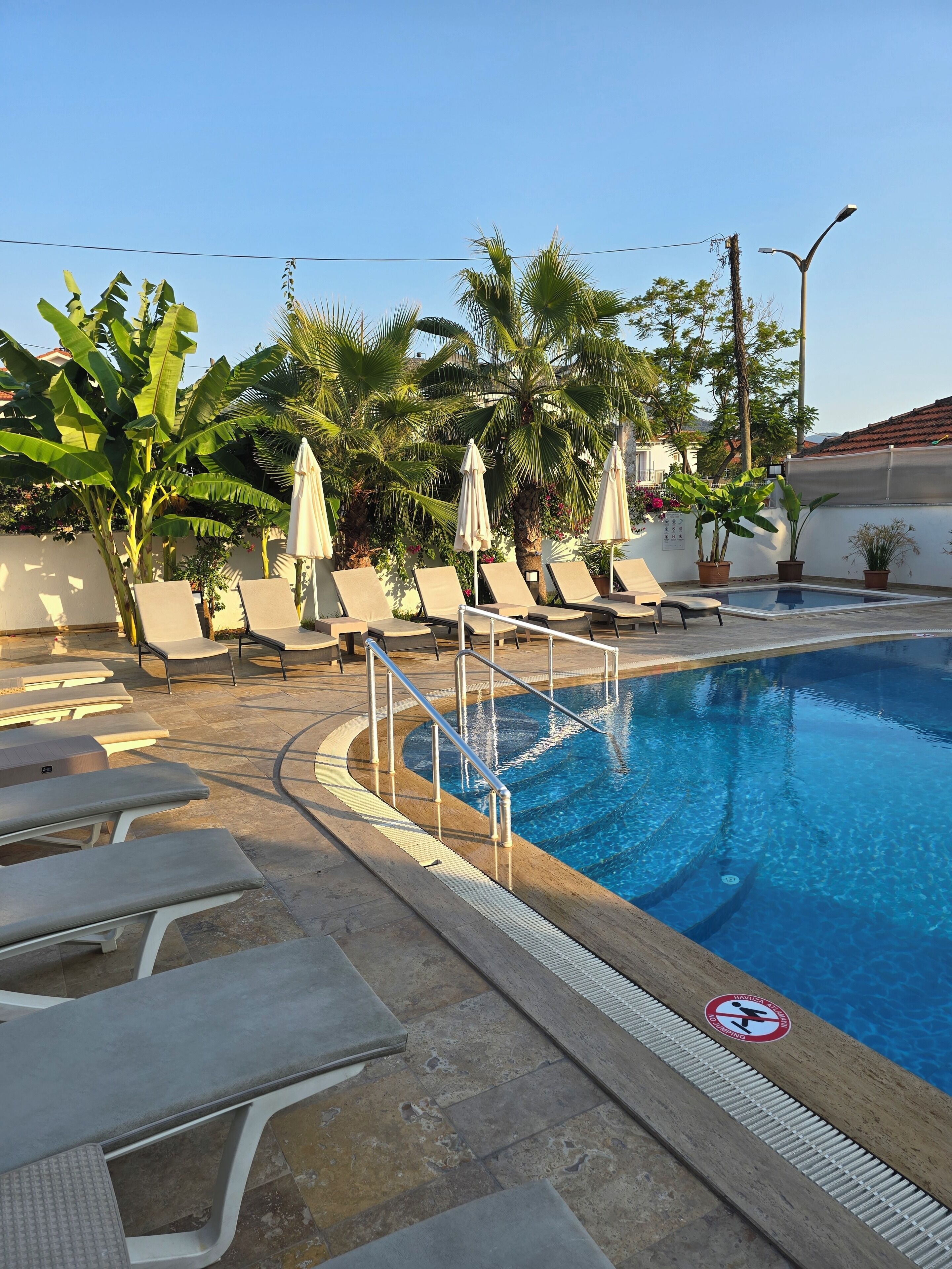 A swimming pool with lounge chairs and umbrellas, surrounded by palm trees and potted plants.