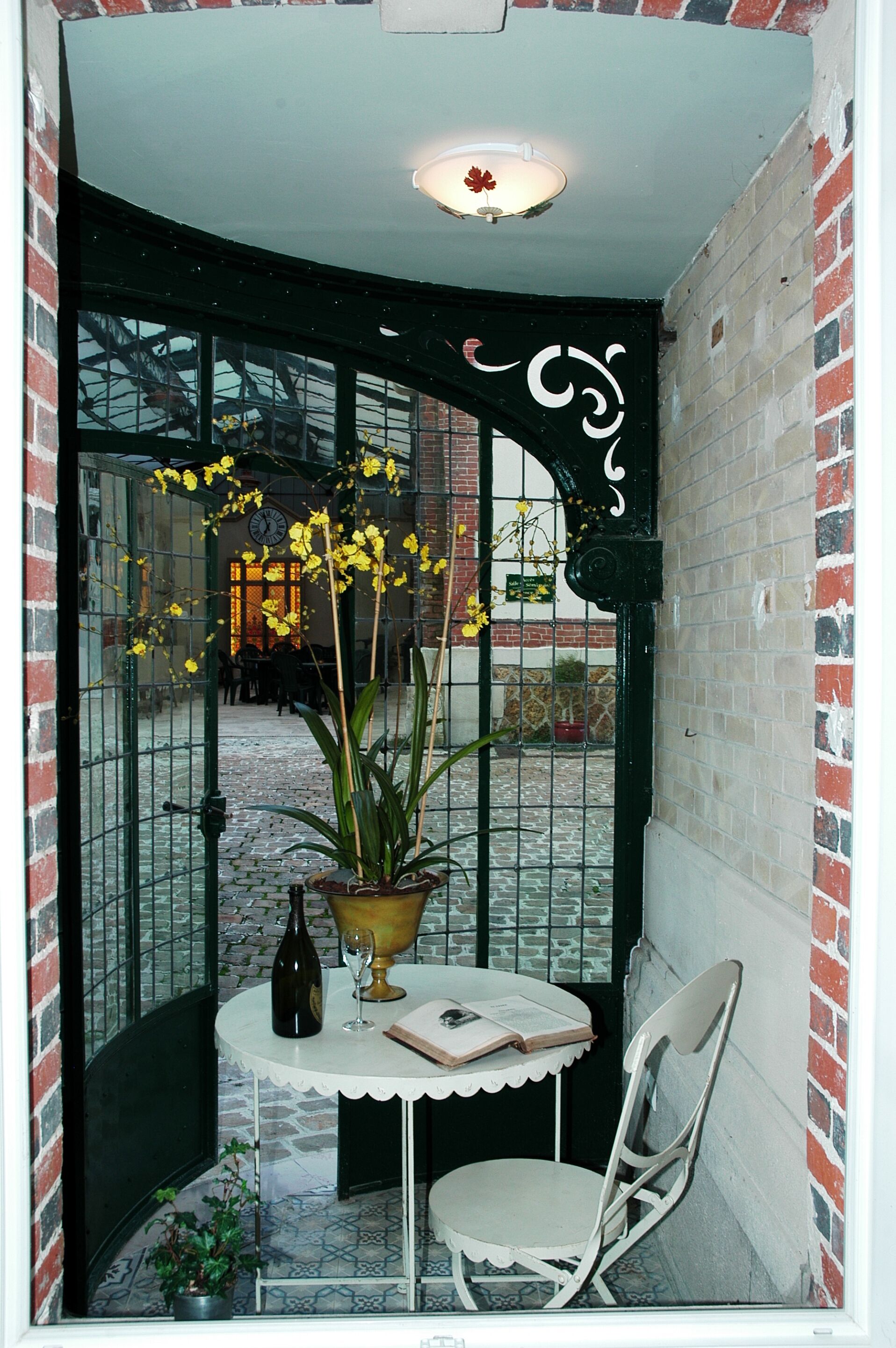 テラス / パティオ