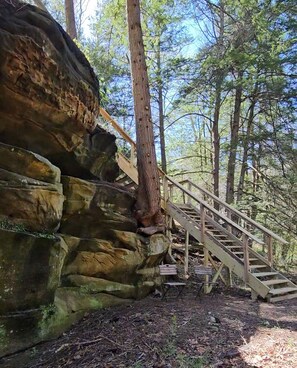 Property grounds - 2BR cabin with private hollow, creek, and historic dam, minutes to trails/food (Logan)