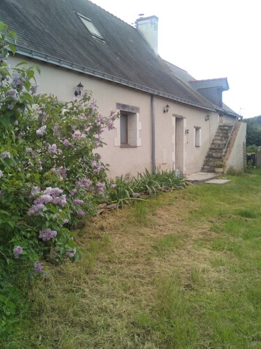 Studio Gîte 35m² Anjou, Site Vinicole, Proche Guinguettes