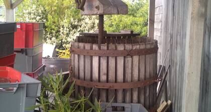 Studio gĂźte 35mÂČ Anjou, Site vinicole, proche Guinguettes