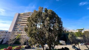 A tall building with multiple balconies, surrounded by trees and parked cars. - Antibes - 4 people - Parking (Antibes)
