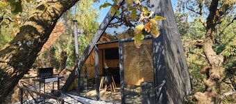 Cabañas Grasshopper SHIELD