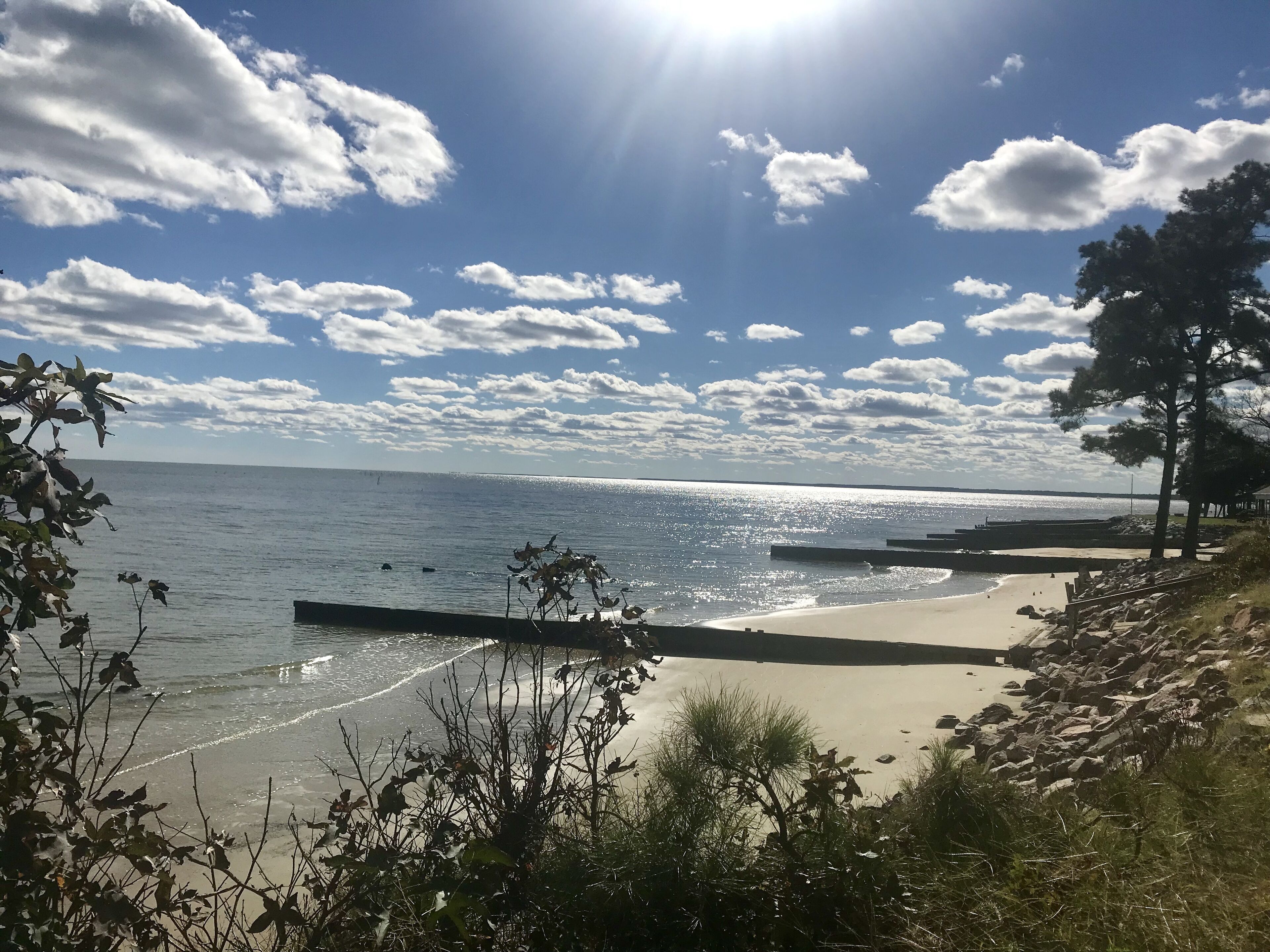 Chesapeake Bay Beach Cottage