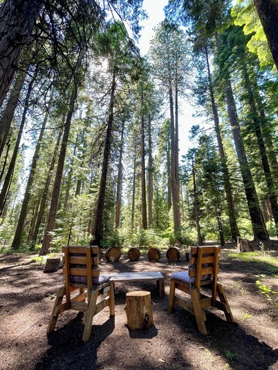 “Big Trees Retreat,” Boasts 5BR/2.5BA, Sleeps-16. 2-level living. Dog friendly!