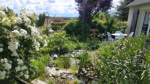 Ein Garten mit einer Holzbank, einem kleinen Teich und verschiedenen Pflanzen.