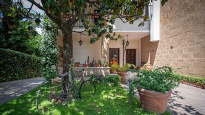 Un patio con un árbol, plantas en macetas, una bicicleta y un edificio con balcón.
