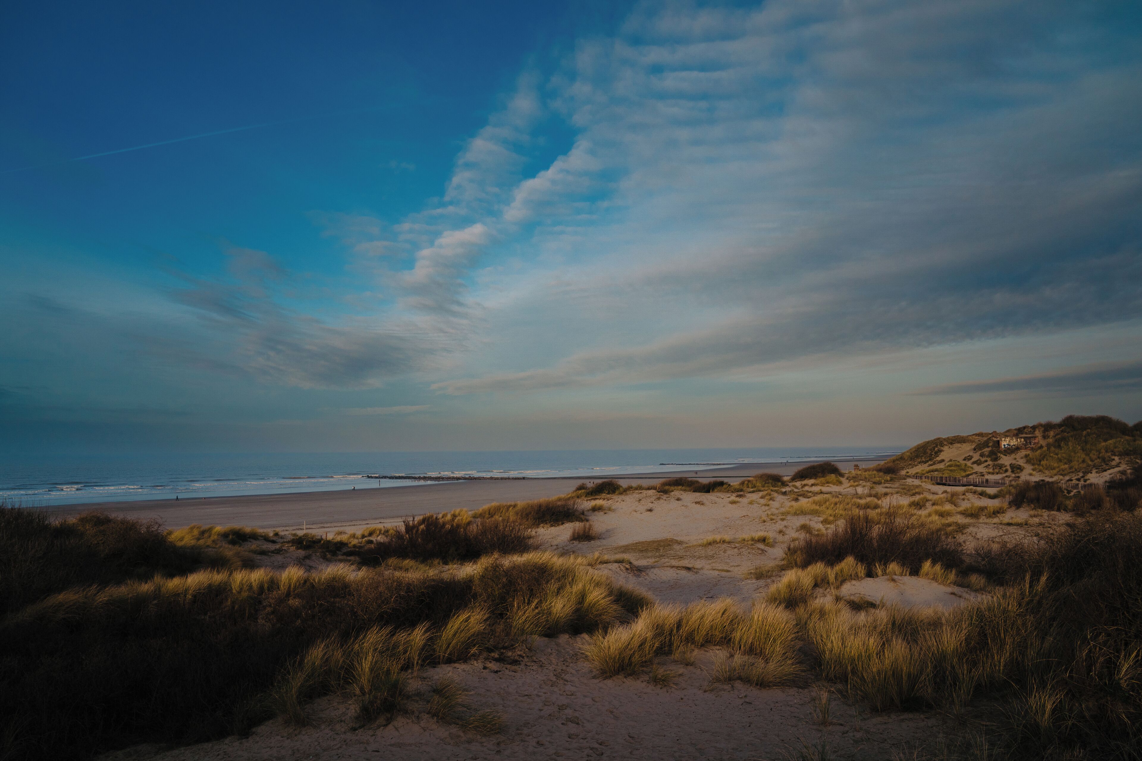 Una playa con dunas y cielo despejado.