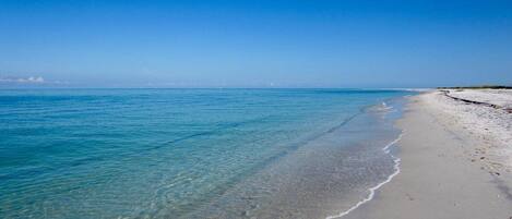 Tumbonas y toallas de playa