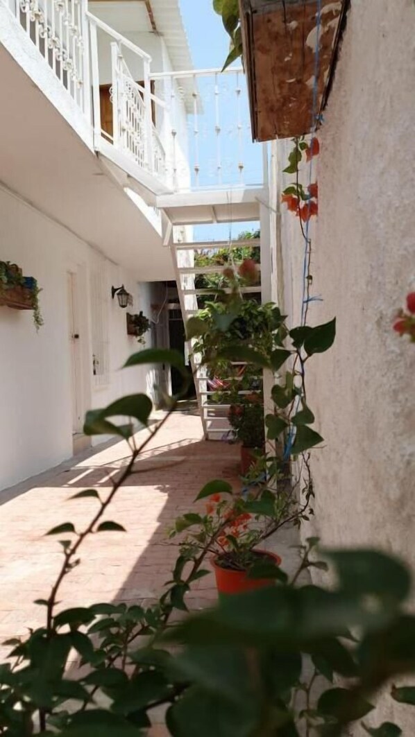 A narrow courtyard with a white building, potted plants, and a wooden door.