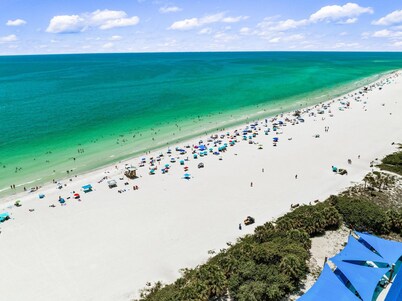 Shore Thing in Sarasota