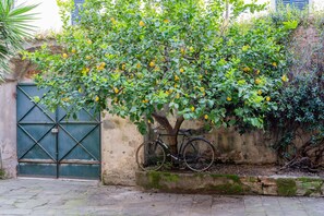 Chambre Deluxe, climatisation, vue cour intérieure | Vue de la chambre