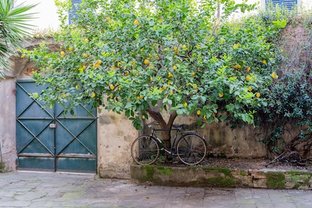 Vista desde la habitación