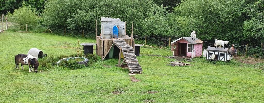 A rural farm setting with a small wooden structure, a slide, and a fenced area with animals.