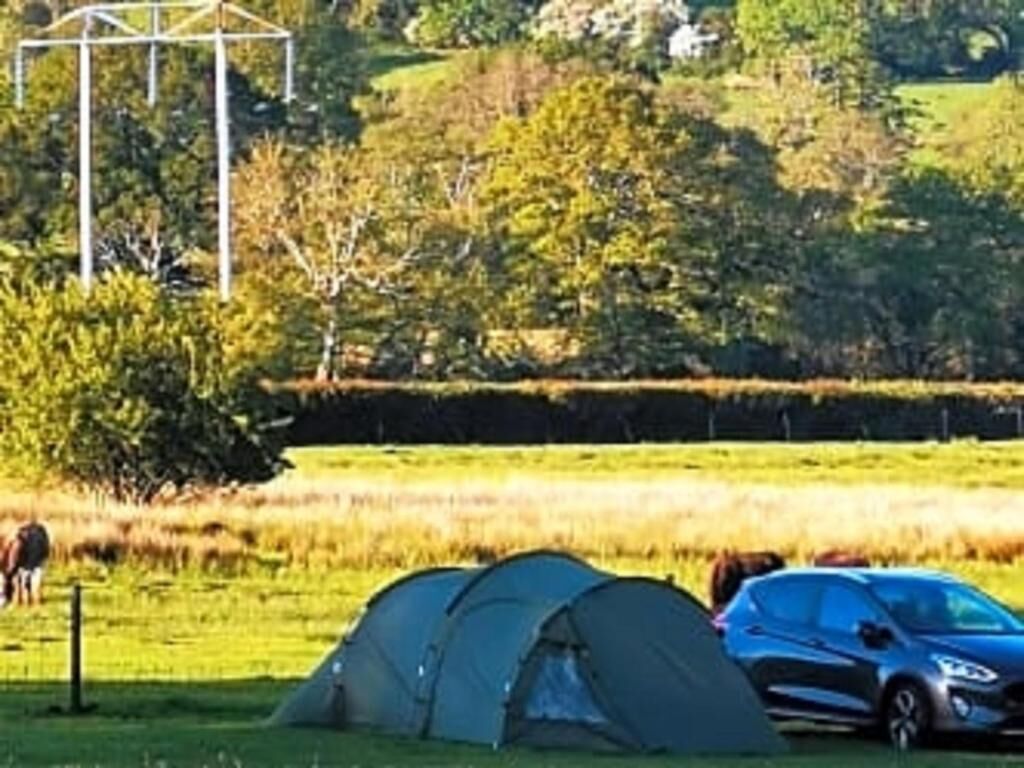 A tent set up in a grassy field with a car parked nearby.