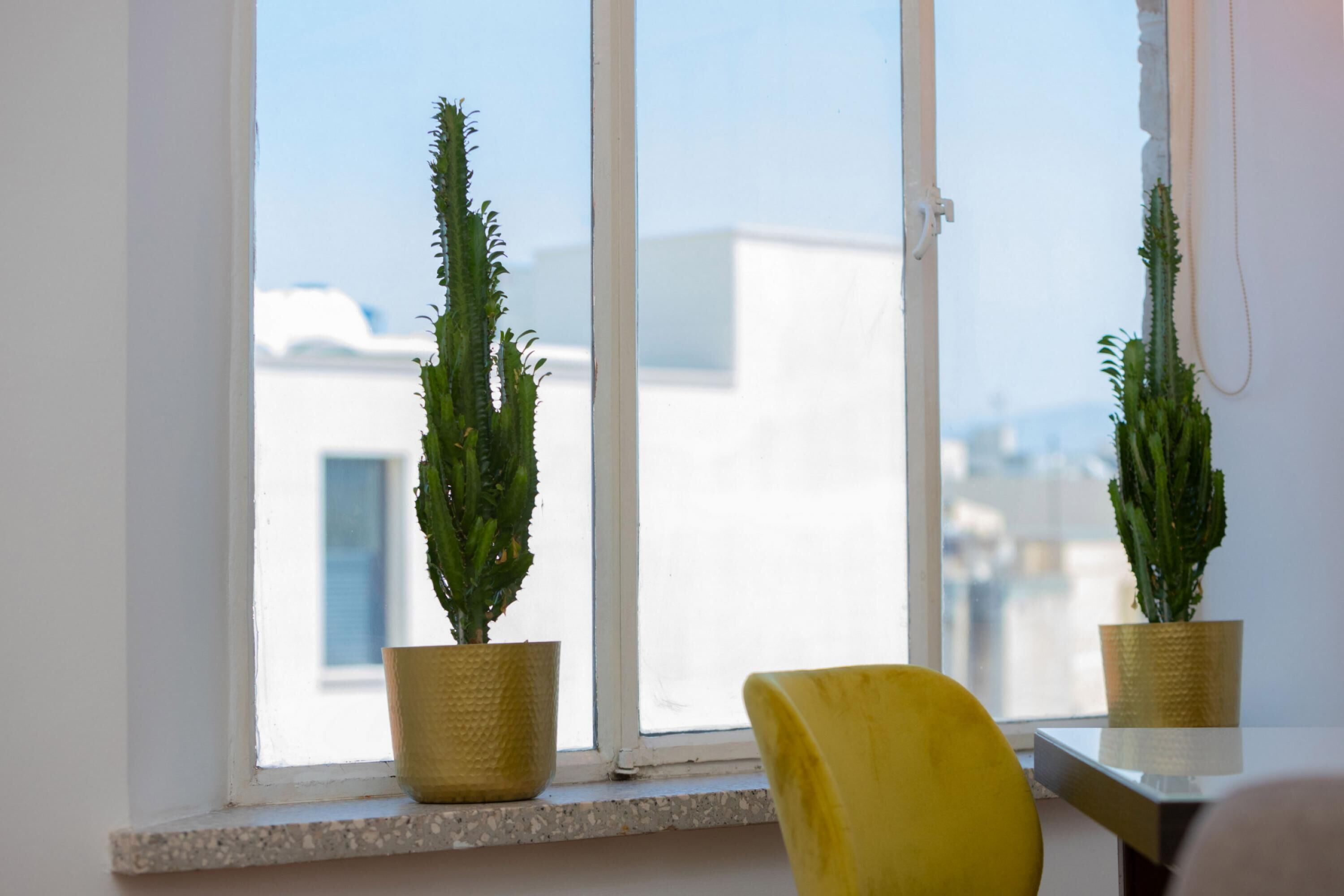 Căn hộ | 1 phòng ngủ 