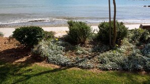 A beach view with a clear sky, calm sea, and a grassy area with shrubs and a tree. - Opera Exclusive Studio (Limassol)