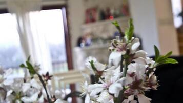 Primer plano de flores blancas, probablemente cerezos en flor, en una habitación con una ventana y una puerta al fondo.