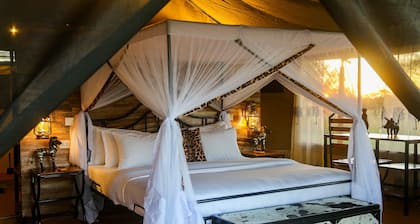 Ndoto Serengeti Camps
