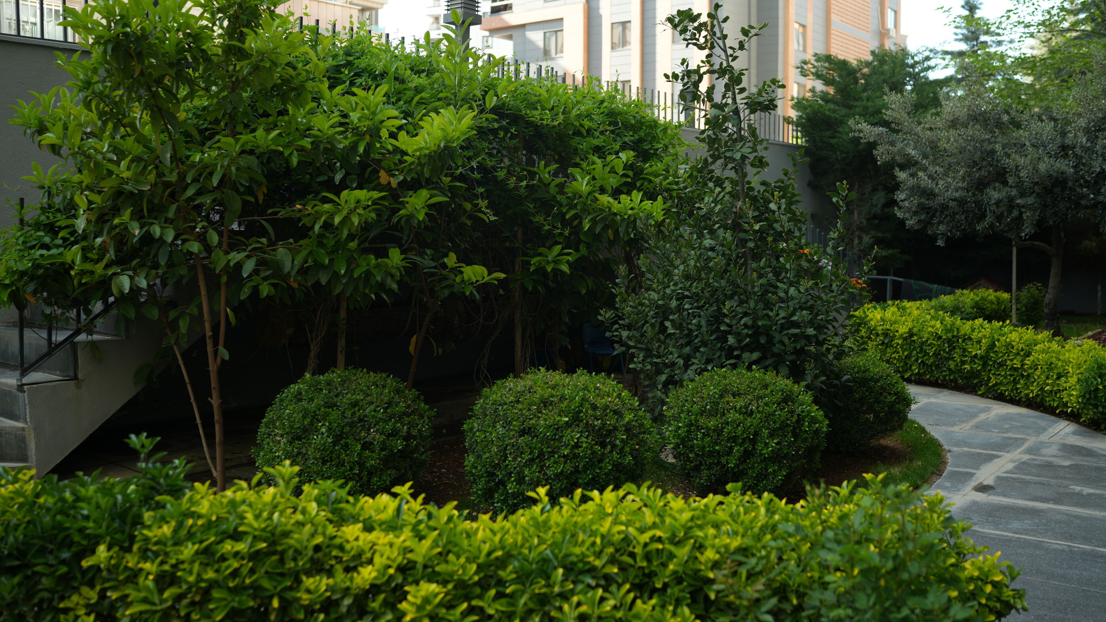 Garden
