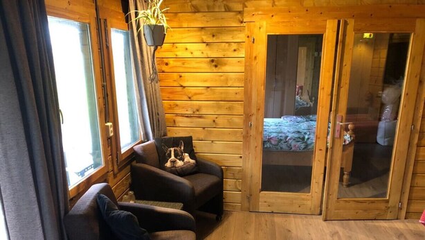 A cozy cabin interior with wooden walls, a sofa, and a dog resting on it.