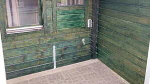 A green wooden door with two windows, a small step leading to a paved area, and a white structure above.