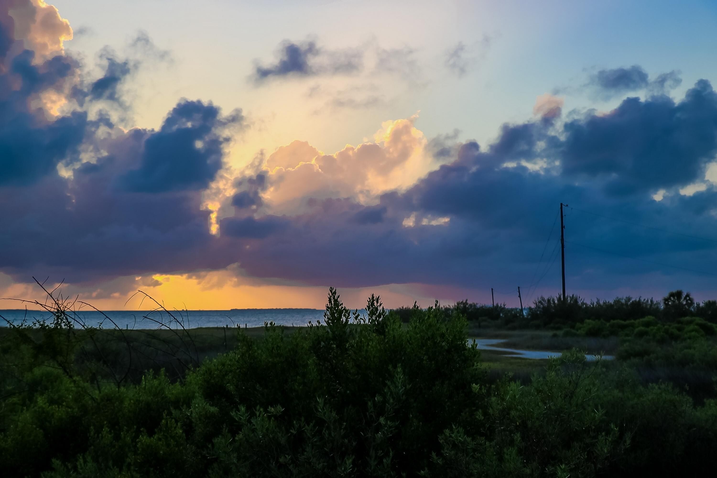 A coastal landscape with a view of the sea, vegetation, and a power line.