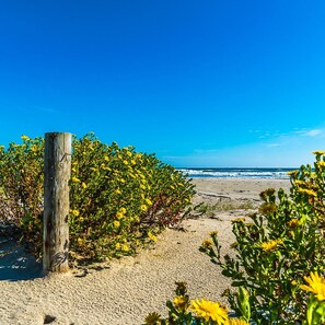 House | 3 bedrooms, Internet - Great Location Go Beyond the Blue (Galveston)