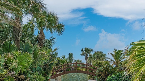 A swimming pool with a wooden bridge, surrounded by lush tropical plants. - Western Waves Dreamy Diamond Beach Condo - Mind-blowing Views Amenities (Galveston)