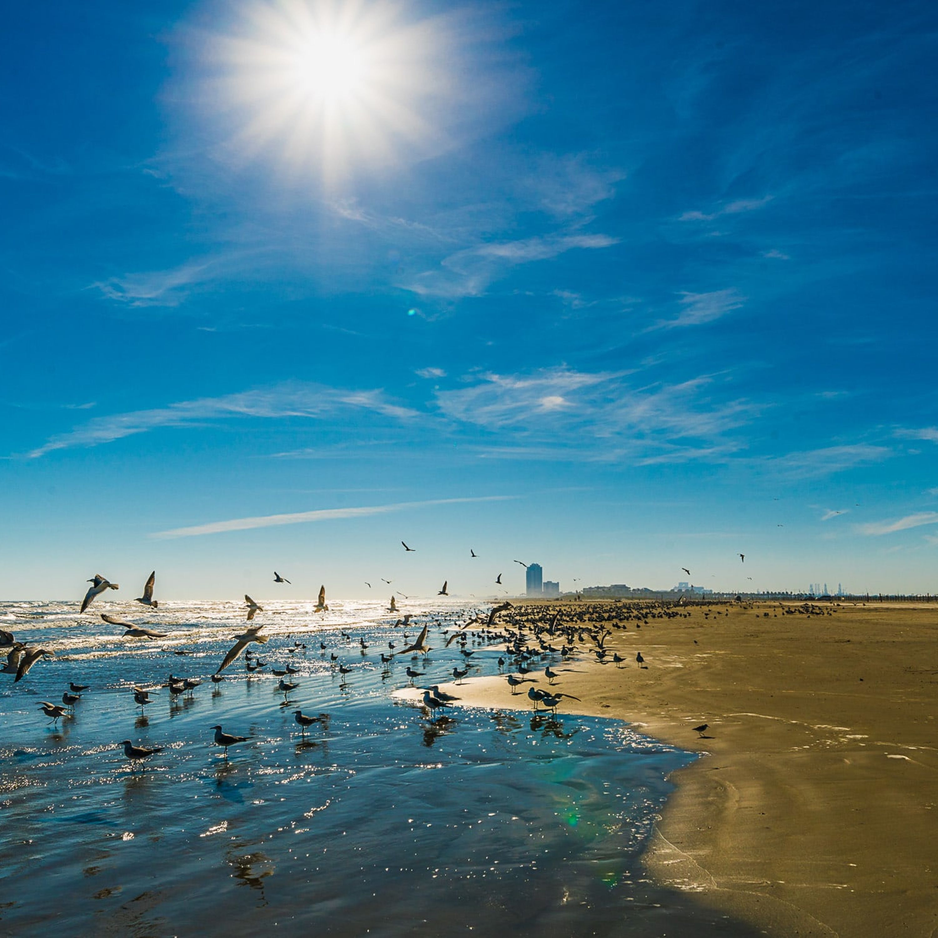Apartamento | 2 quartos, acesso à internet de alta velocidade