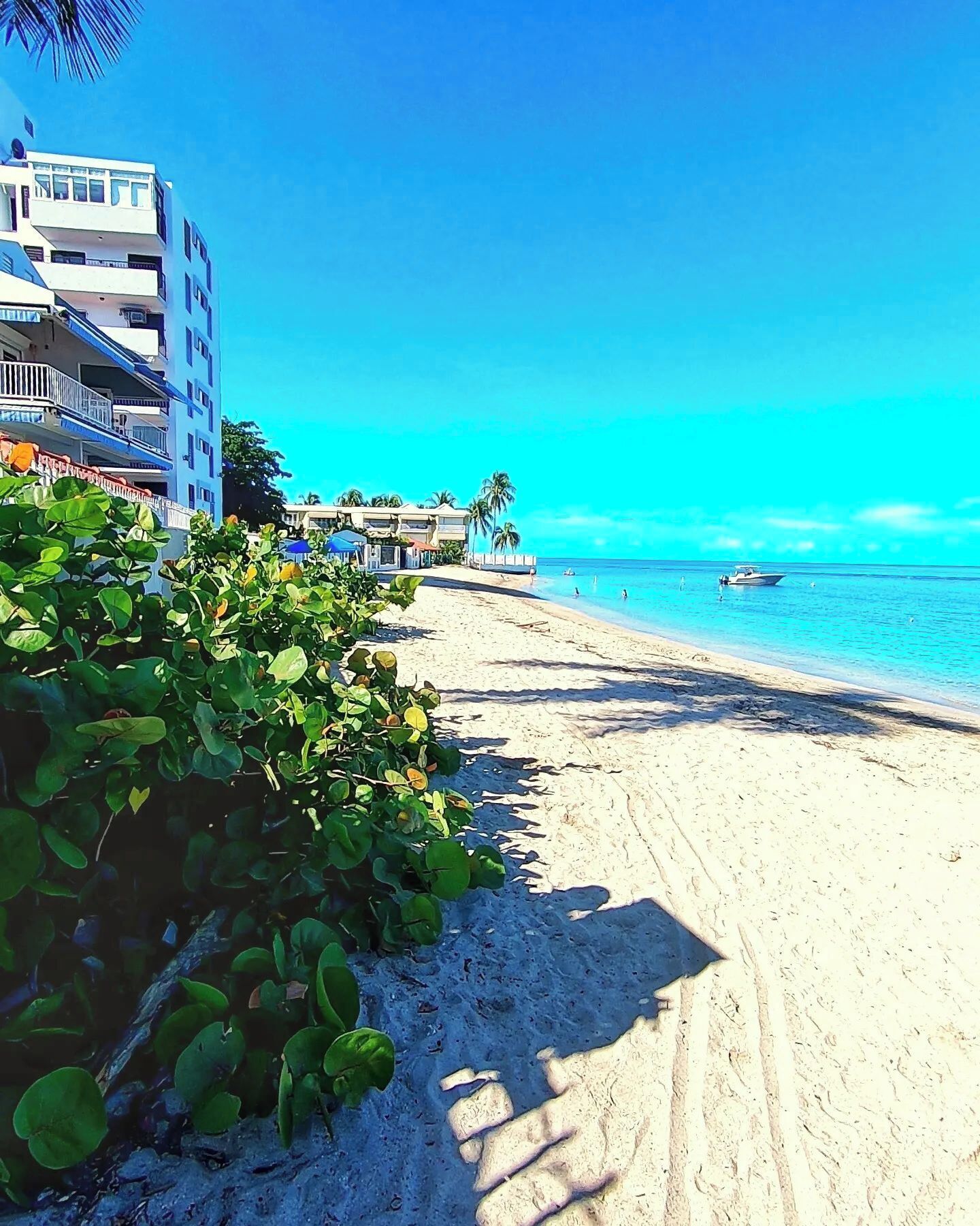 Sun-loungers, beach towels