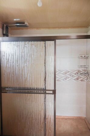 Family Apartment | Bathroom - Livingroom (La Fortuna)