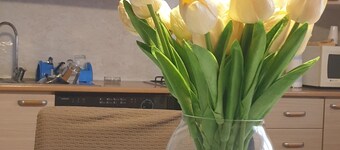 Love nest Parma